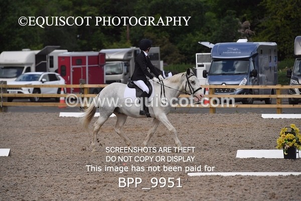 BPP_9951 - SHORT ARENA  MY QUEST PRELIM