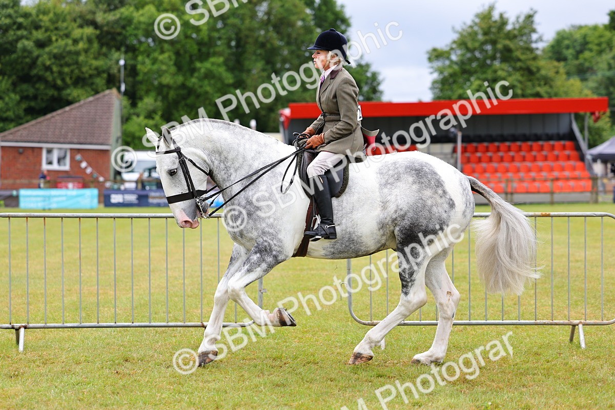 SBM_02514 - Class 9-11 Side Saddle including LIHS Rising Star Ladies Show Horse