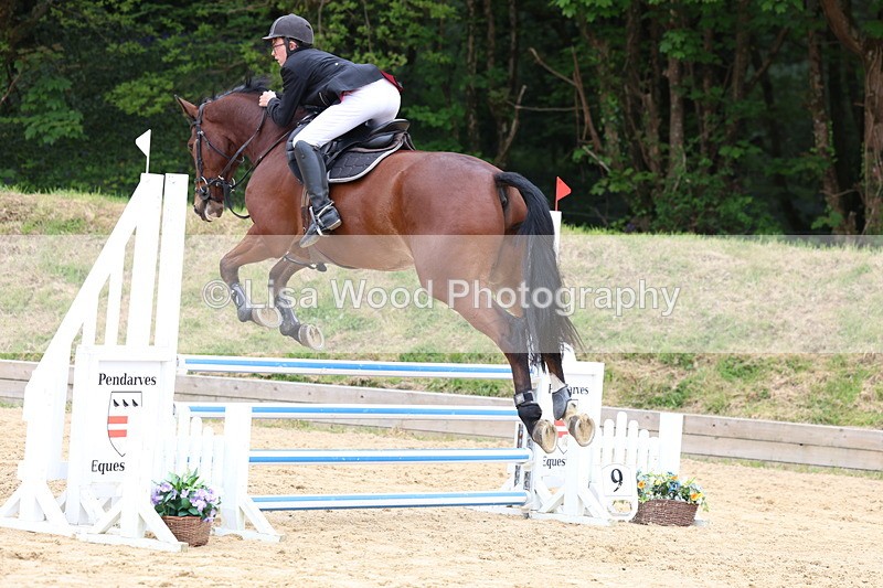 3E7A6010 - Class 4: Senior British Novice/90cm open