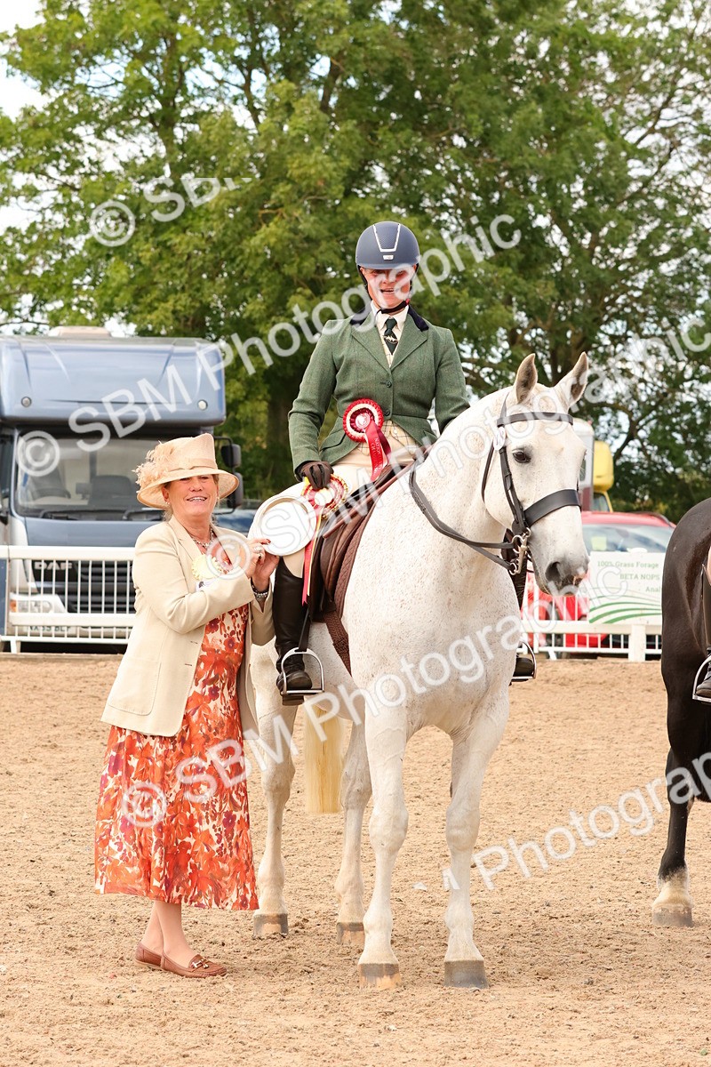 SBM_15582 - Class 214 - Ridden Show Cob