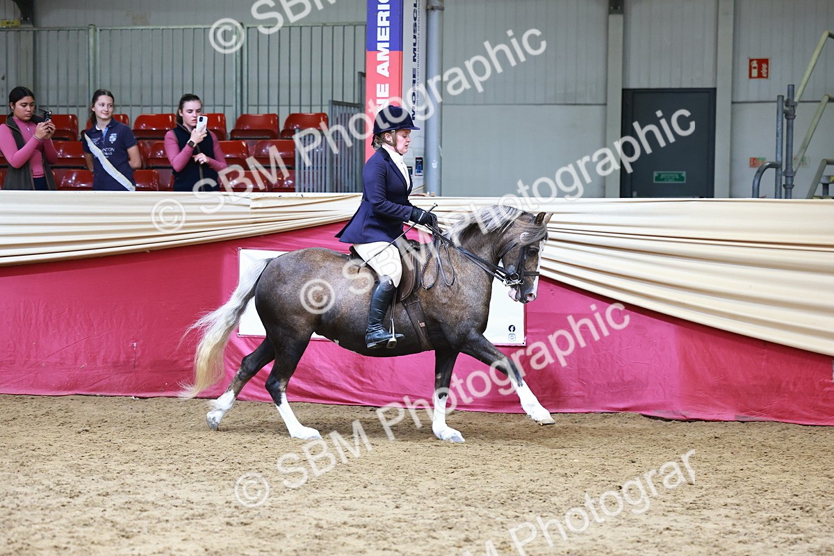 SBM_23720 - Class 905 - Supreme Final - Ridden Veteran