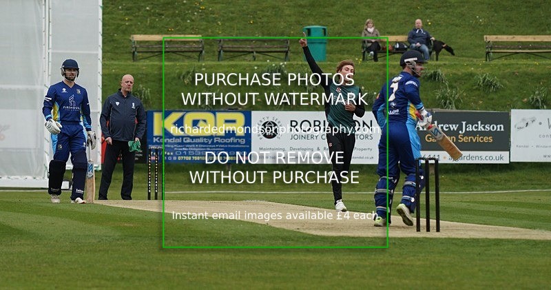 DSC08587 - Cricket Images 2019