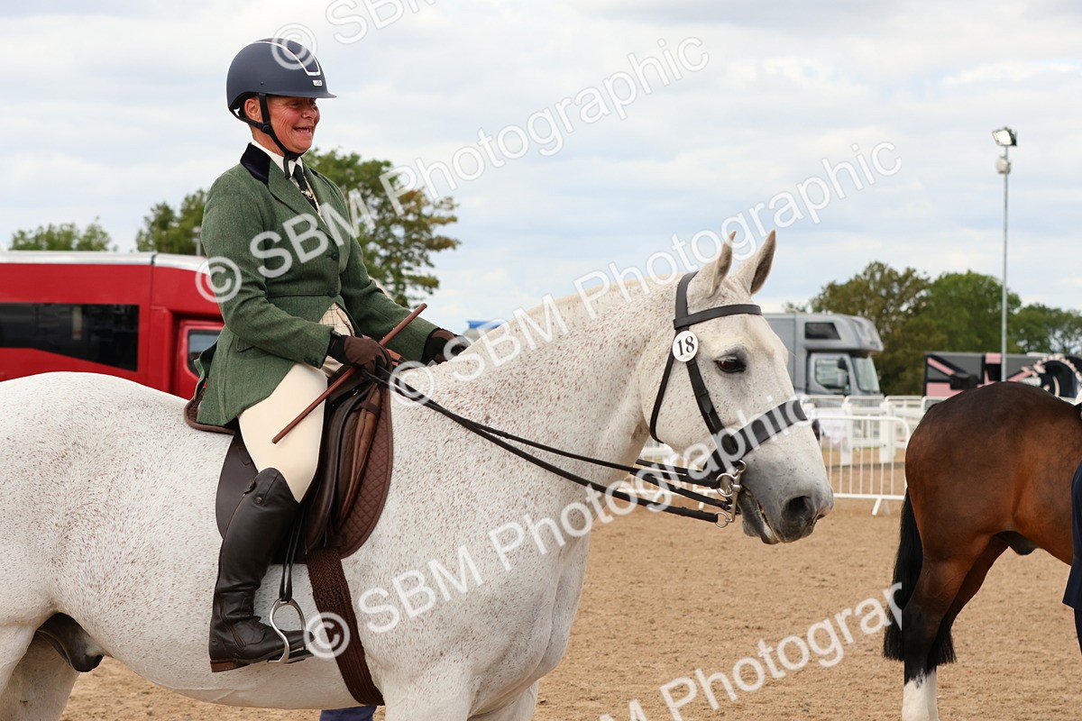 SBM_15534 - Class 214 - Ridden Show Cob