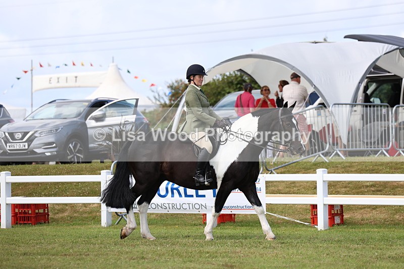 3E7A0141 - Class 6: Rising Star Maxi Cobs