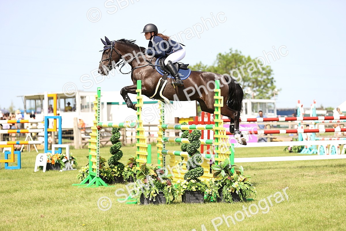 SBM_03070 - Class 201 - British Horse Feedds Speedi Beet HOYS Grade C