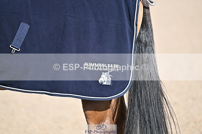 250301-141713-01868 - Dressage Presentations