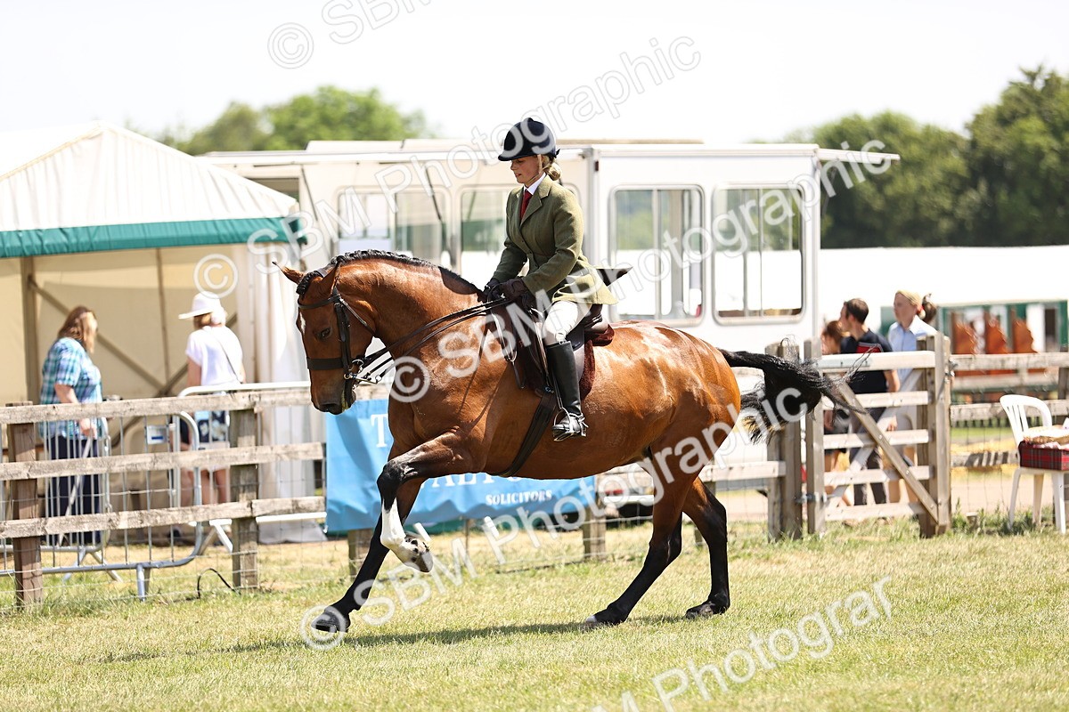 SBM_15125 - Class 79-80 - LIHS BSHA Rising Star Ridden Hunter