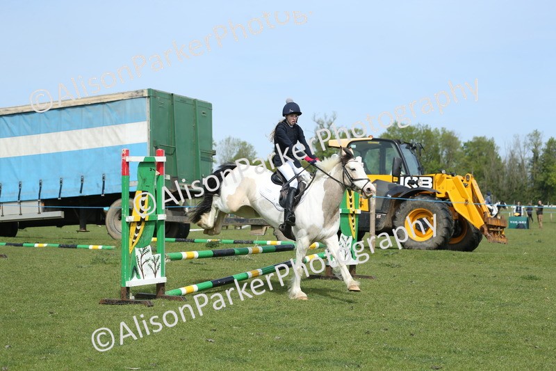 20260426-1654 - Class 14 - Novice 60cm