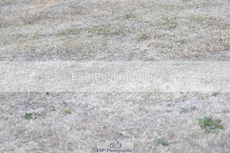 250823A-183358-34317 - All Sat Presentations