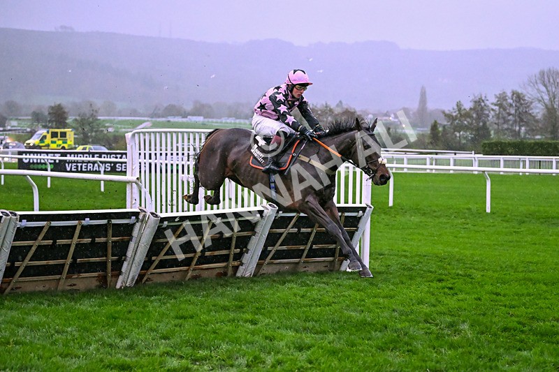141125-Race 5-Heads Up-0948 - Race 5