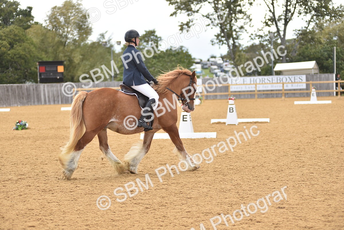 SBM_29620 - D16 -Small Tour Championship Novice 2