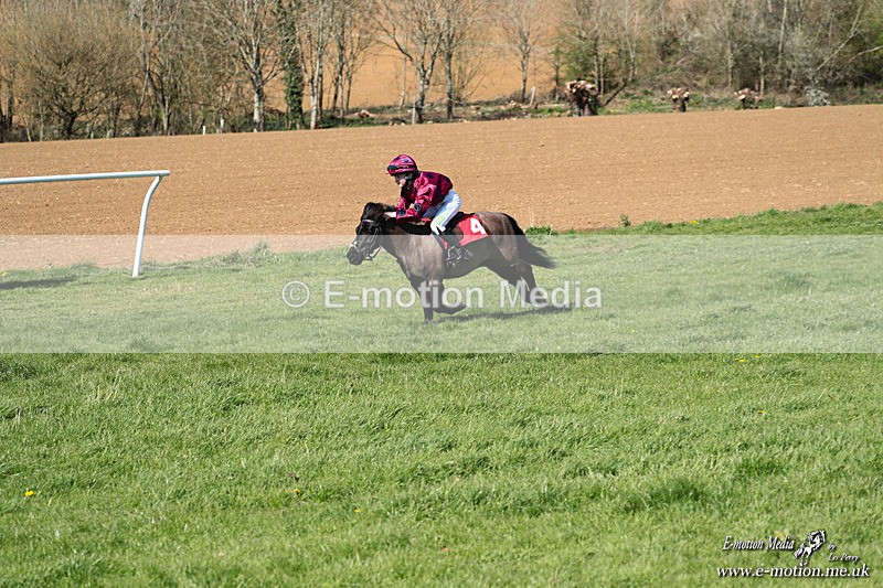 Shet 060426 188 - Shetland Pony Racing Paxford Races Easter Mon 06/04/26