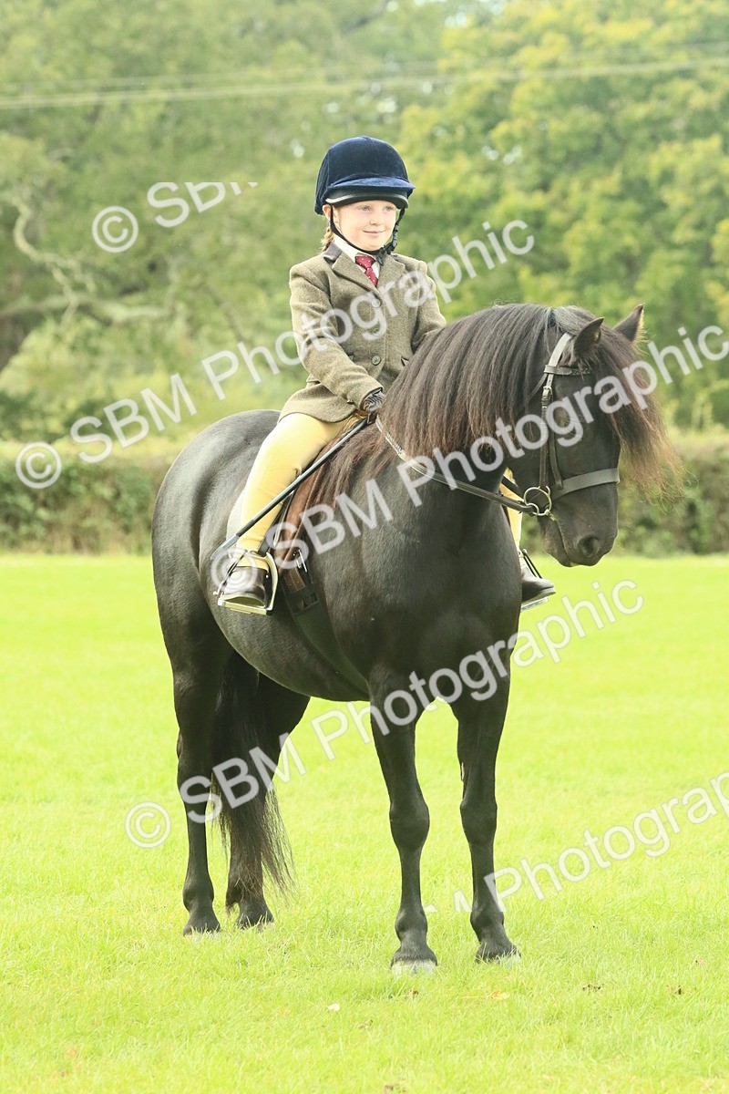 SBM_69978 - S59 - Mountain & Moorland Ridden Small Breeds