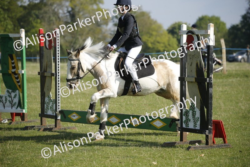 20250427-0282 - Class 12 - Rookie Jumping 40cm
