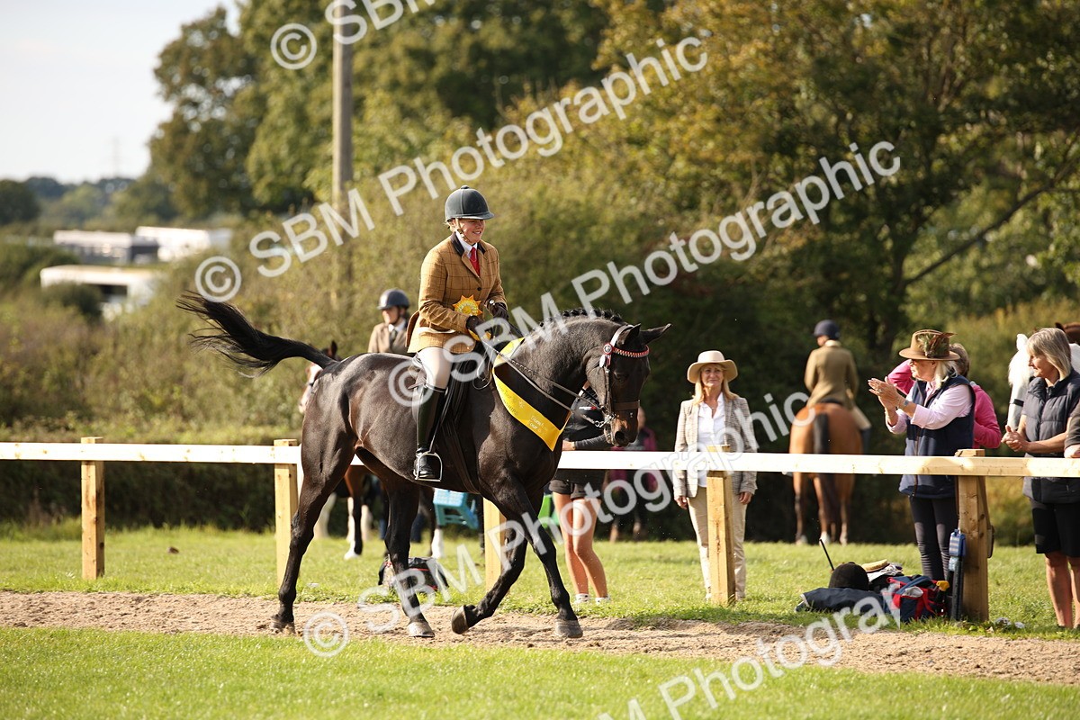 SBM_50250 - S26 - Young Veteran - Ridden