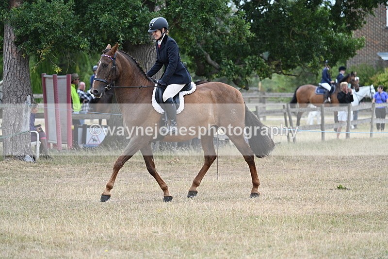 WJ7_0847 - Class 7 Riding Club Show Horse