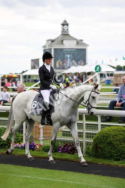 yr22052022r8e-94 - ROR - Parade Ring York