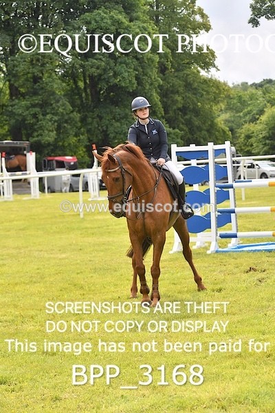 BPP_3168 - CLASS 2 SENIOR FOX/1.20M OPEN