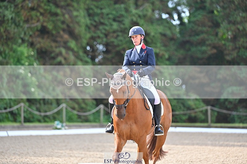 250523A-091250-05465 - D-453-Daisy.Berkeley-DIESE.DU.FIGUIER