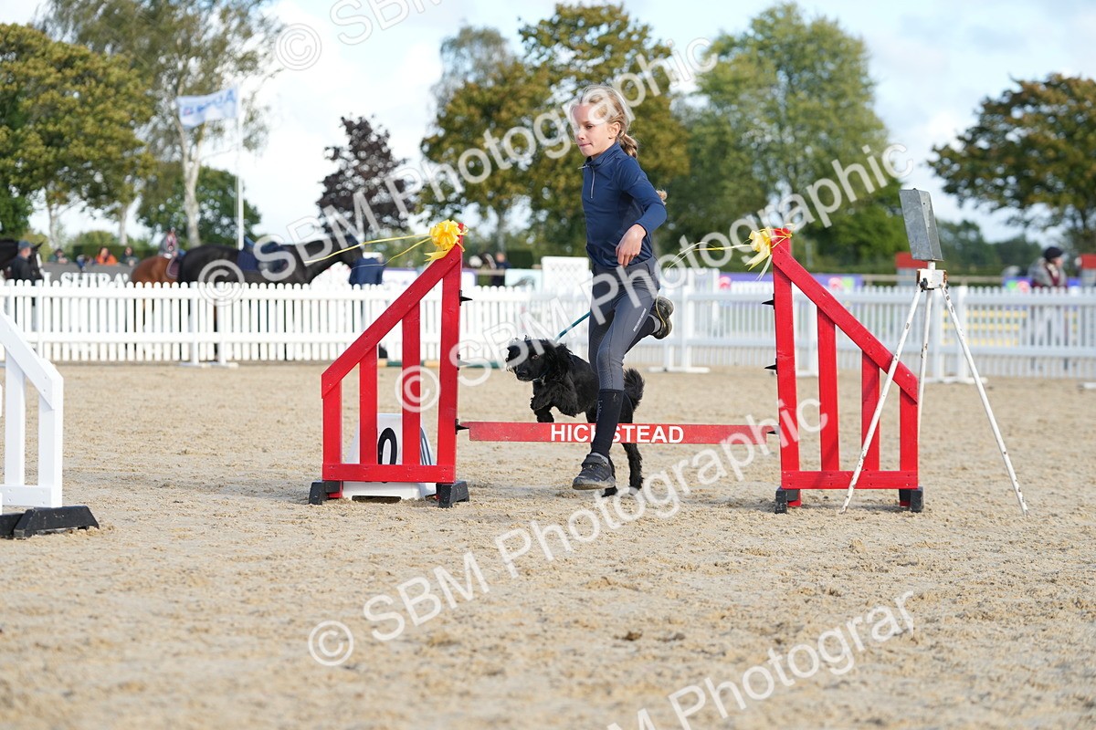 SBM_29120 - J43 - Horse & Hound Open 50cm