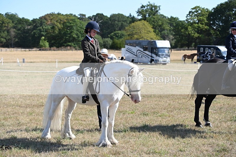 WJ6_7629 - Class 34 Judges Choice