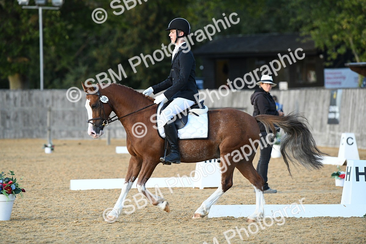 SBM_30994 - D16 - Small Tour Championship - Novice 28