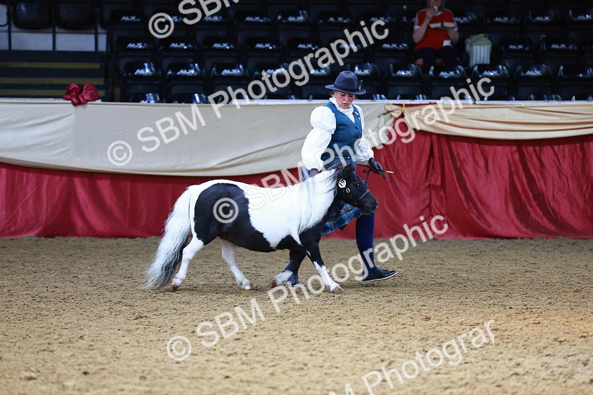 SBM_23109 - Class 903 - Supreme Final - IH Pre Vet