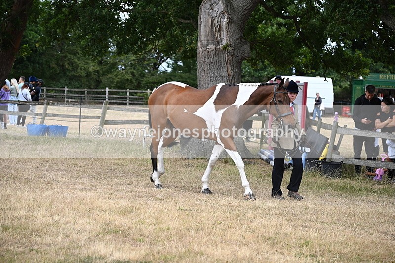 WJ6_8132 - Class 10 Coloured in Hand