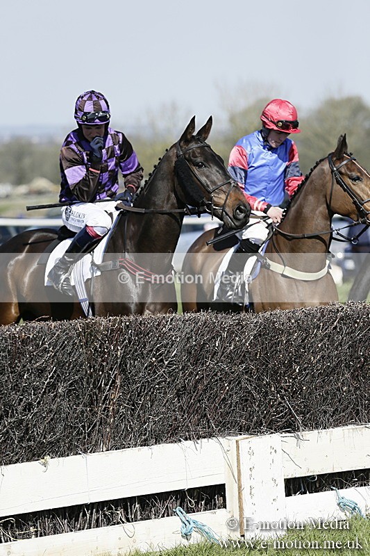 PtP 260317 168 - Mendip Farmers Point-to-Point Ston Easton 26/03/17