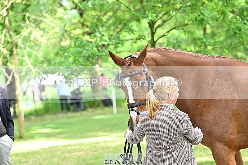 250521A-151857-00419 - B-307-Rosalind.Canter-SILVESTERS.FINESSE