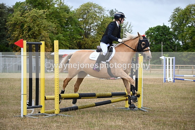 WJ6_9915 - Class 13 Novice Jumping 60cm
