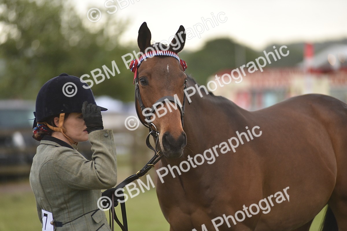 SBM_10667 - Class 109 - Retraining of Racehorses in Hand
