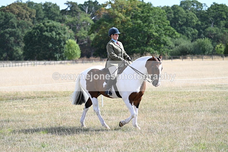 WJ7_2699 - Class 8 Ridden Tack & Turnout