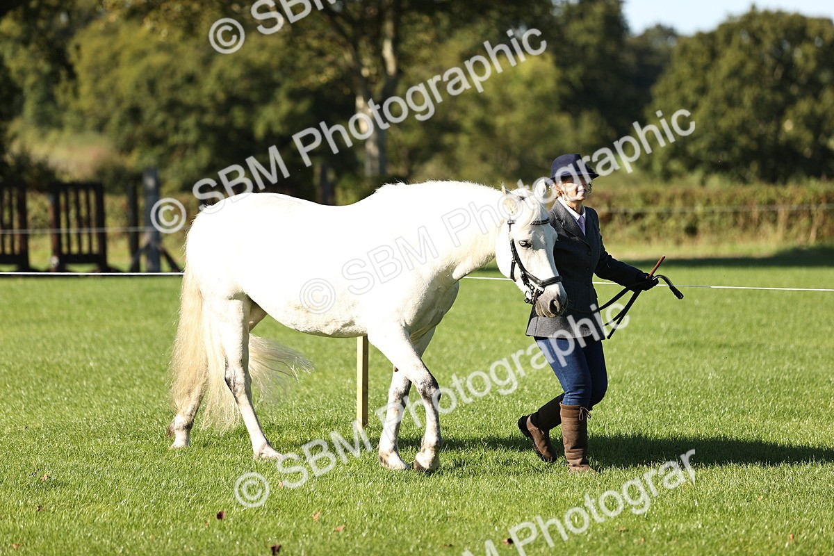 SBM_15848 - S1 - TSR in Hand Horse & Pony Showing