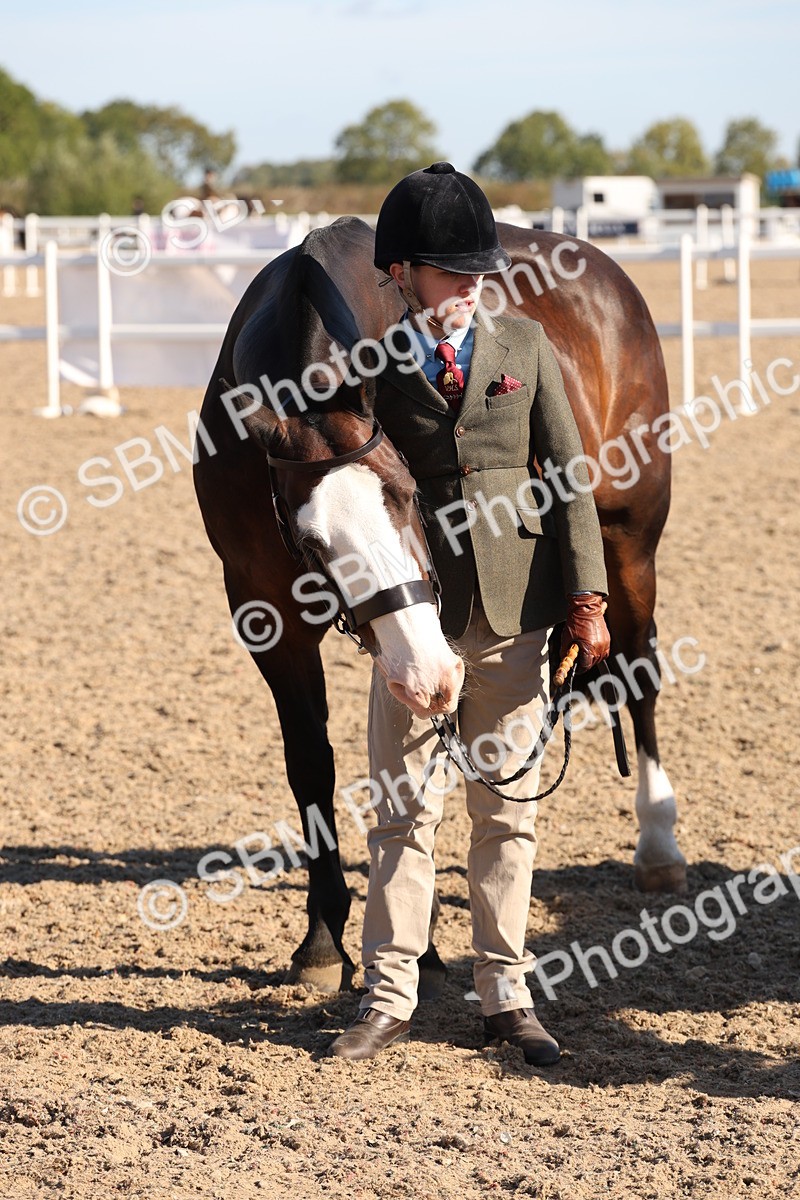 SBM_11763 - Class 204 - Young Handler 11 to 16 years