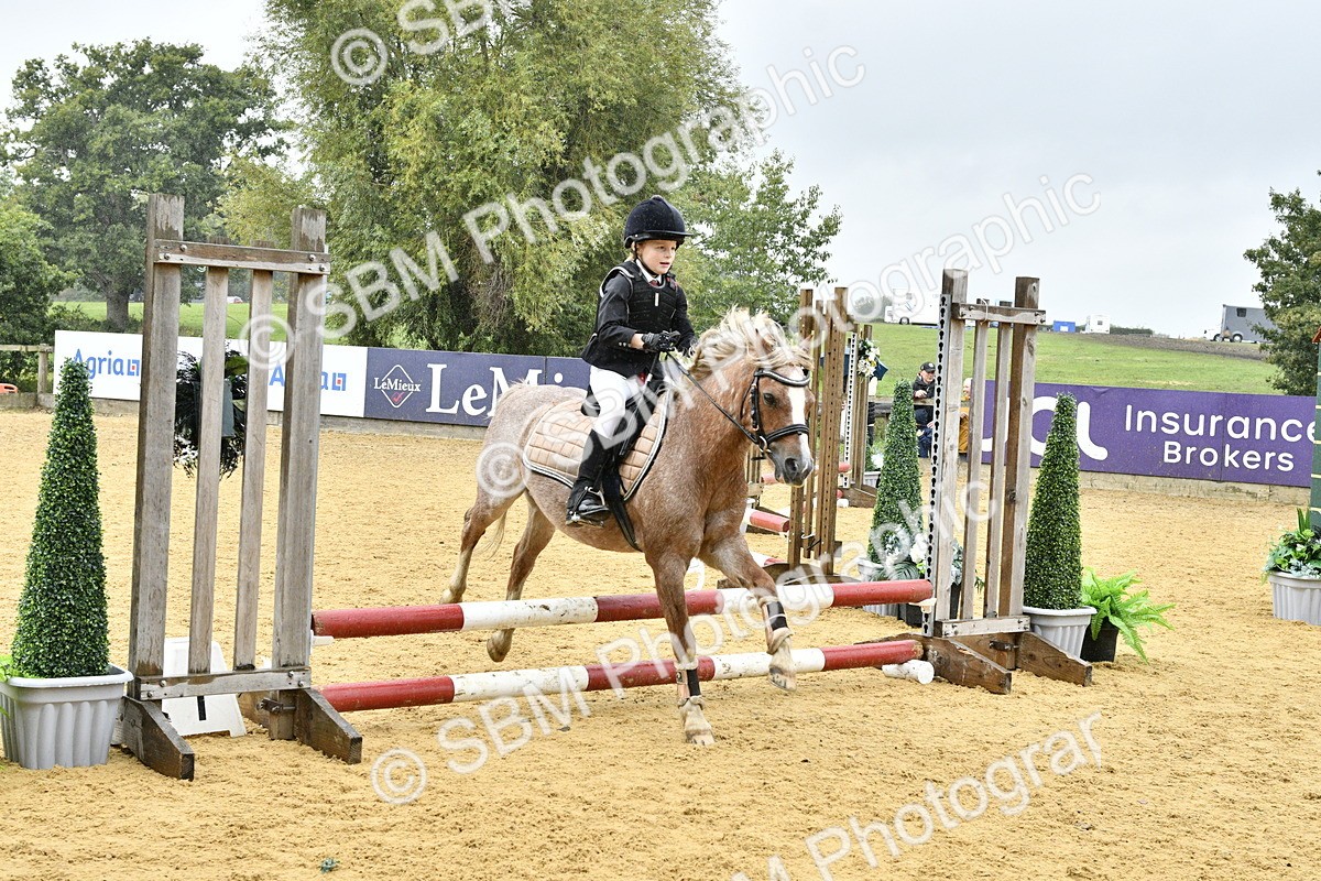 SBM_70842 - J3 - Mini Tour Junior Pony 40cm championship
