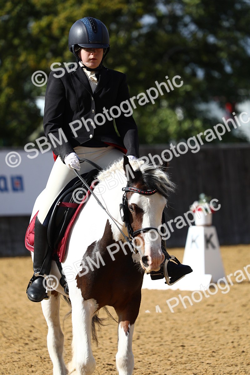 SBM_24493 - D5 - Small Tour Championshop Intro 2