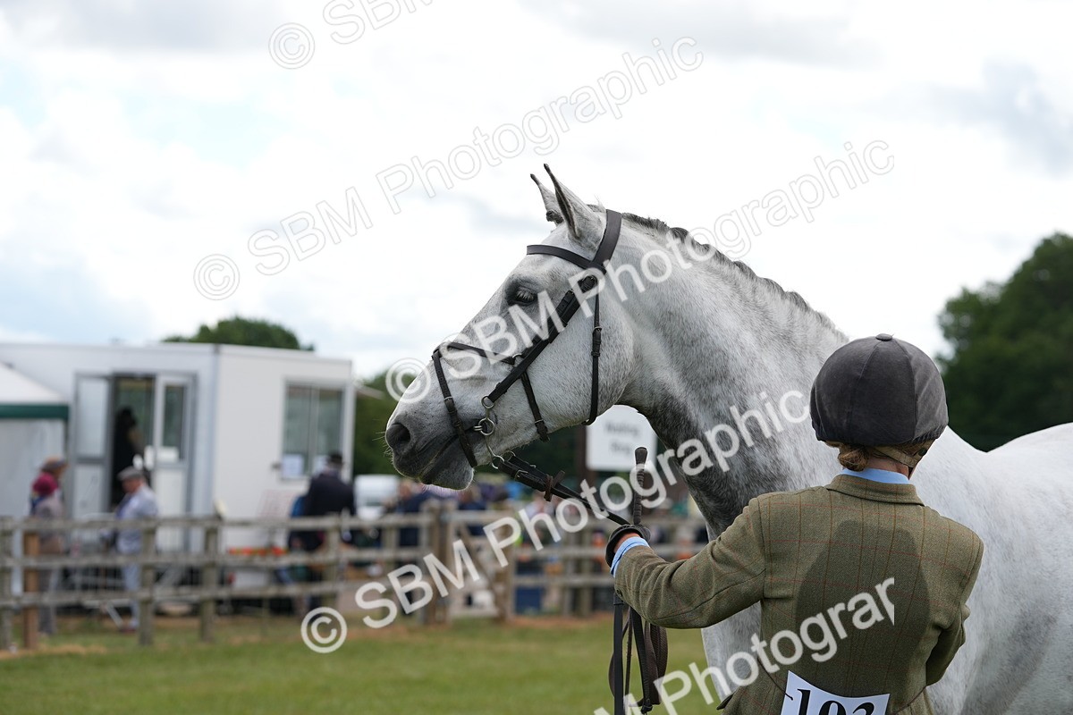 SBM_14895 - Class 100-102 - RIHS Working Hunter