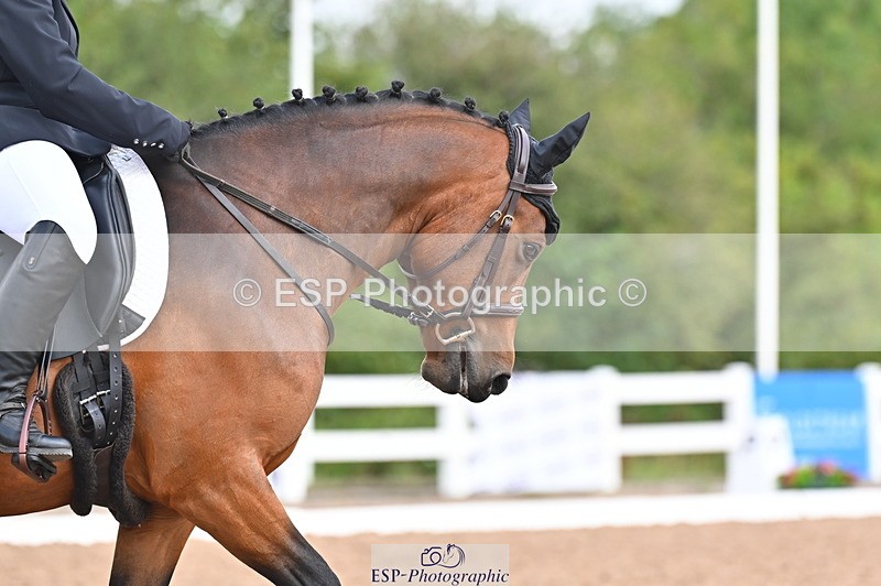 240817A-102327-07774 - 145-Carolyn.Gale-Newtown.Ringo