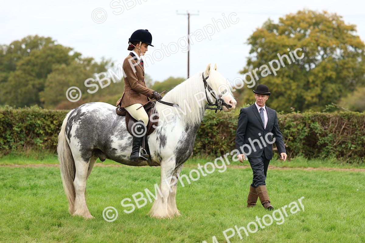 SBM_64631 - S58 - Coloured Pony Ridden