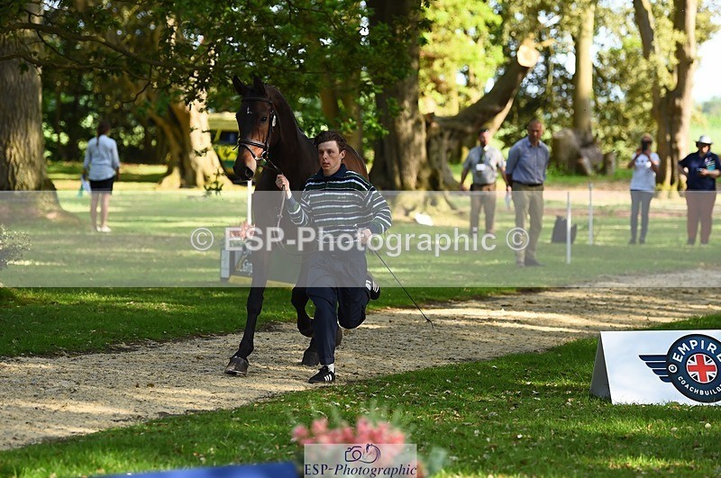 230524-172452-01487 - 174-LANCELOT_BMG-Alfie_Marshall-WEDTrotUp+DR