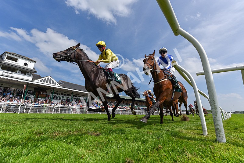 130524-Race 2-Monfrid-5270 - Race 2