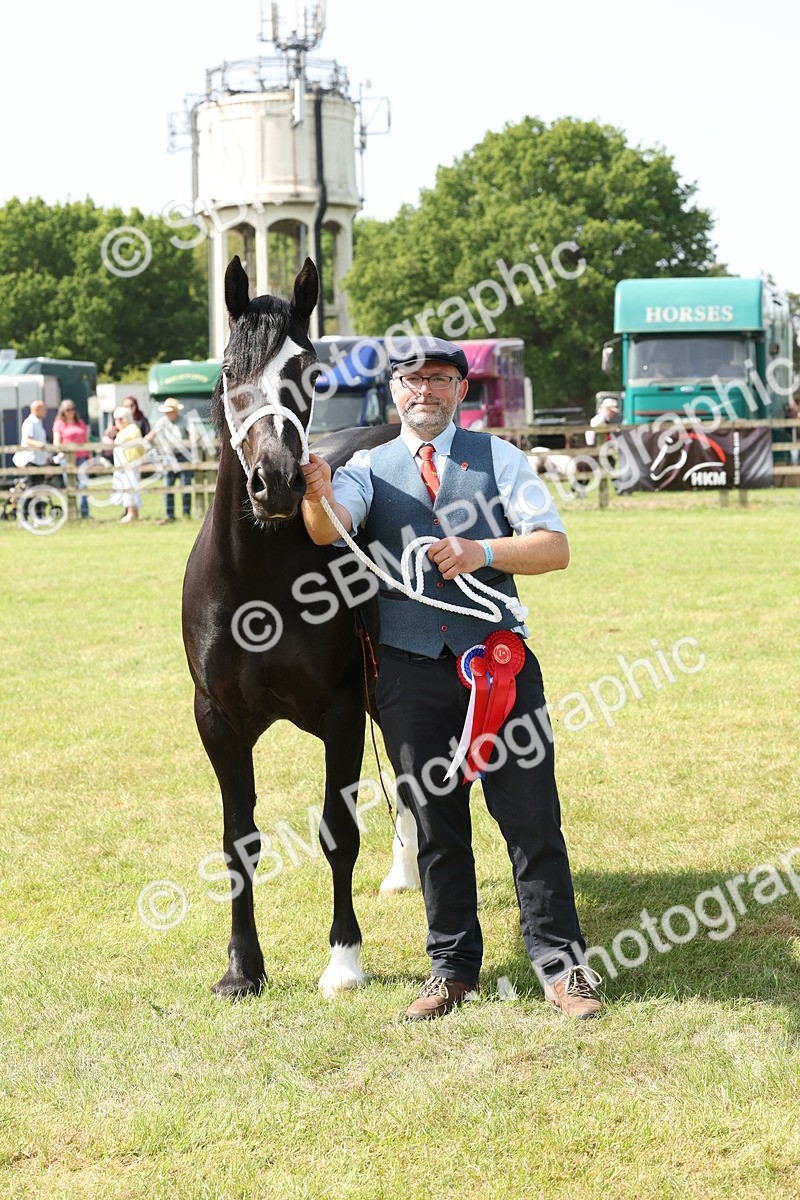 SBM_02352 - Class 6-13 - Mountatin and Moorland In Hand Welsh Breeds