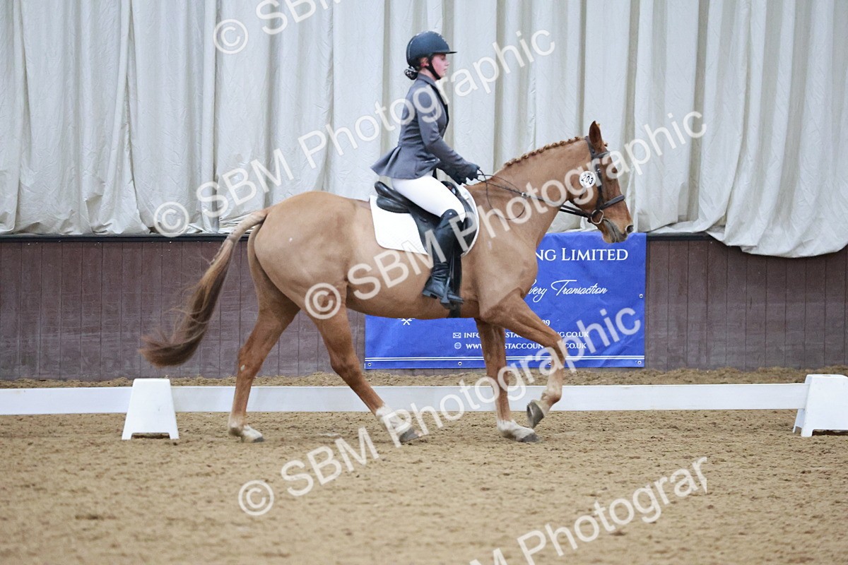 SBM_004655 - Ring 3 - International -  Working Hunter Classes 23-2-25