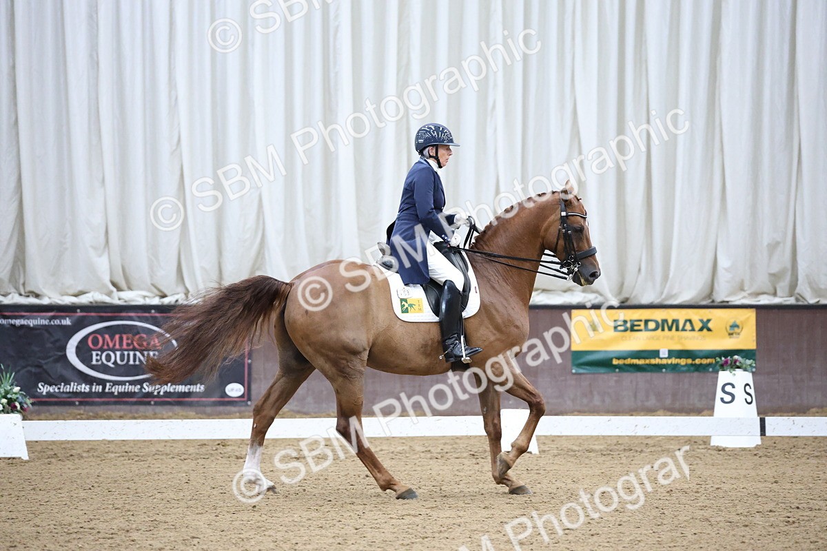 SBM_004749 - Class 9 - FEI Inter 1 Gold - 16.59-17.47