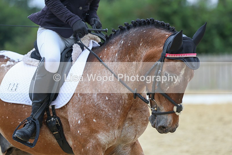 3E7A6079 - Class 3: Prelim 4 2024 - Section A