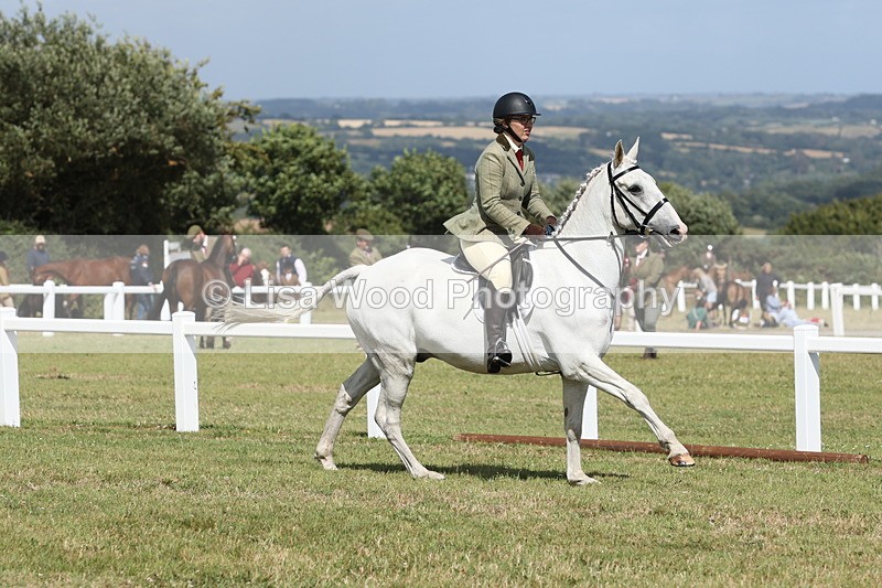 JPP_2479 - Class 19: Working Hunter 60cm