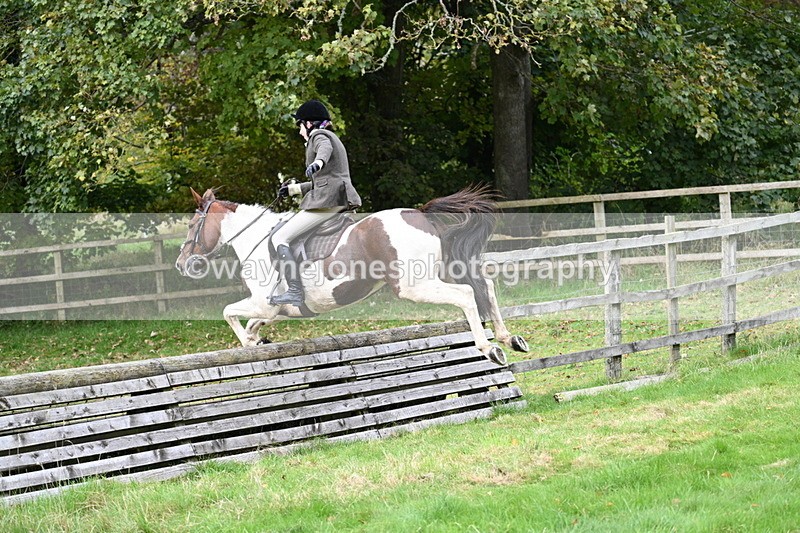 WJ7_4677 - Camera 1 Line 3