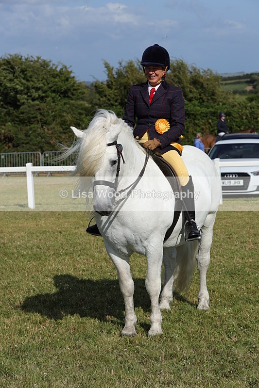 1X9A6018 - Class 42: NPS Dales, Fell, Highland
