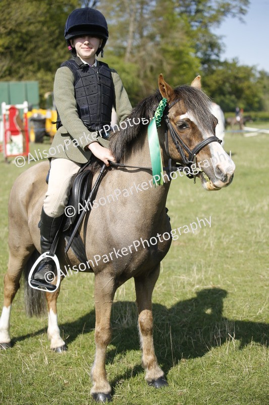 20250427-0473 - Class 12 - Rookie Jumping 40cm